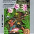 GARDEN WARS per Commodore Vic20