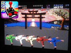 Un fantastico Kata in esecuzione durante il gioco in pausa. Potrete gustarvi tutte le tecniche presenti nel gioco, eseguite con perfetta sincronia dai 6 lottatori!